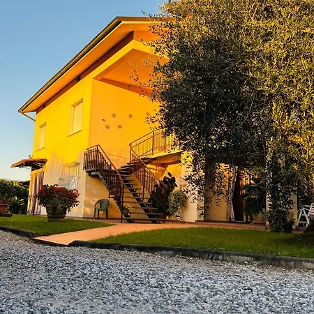 公寓 Casa Corte Degli Olivi 1 卢卡