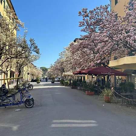 Casa Corte Degli Olivi 1 * 卢卡